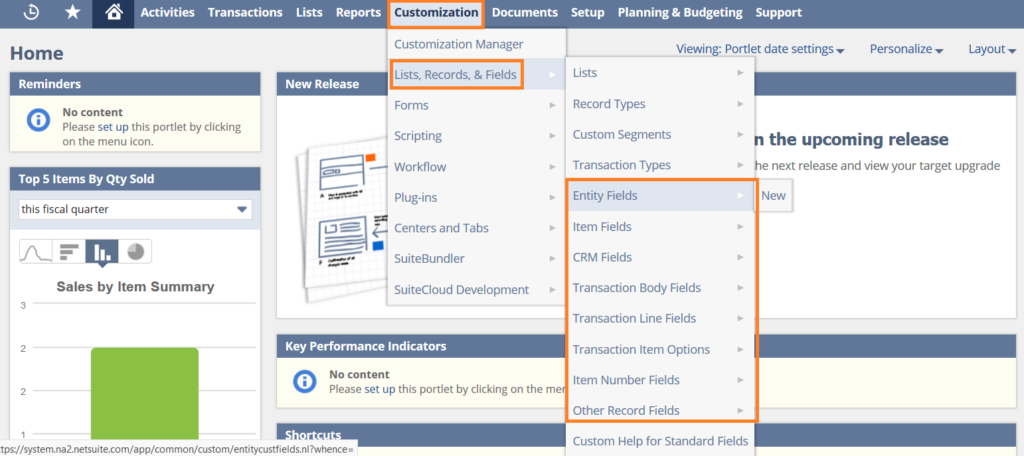 NetSuite-Customization